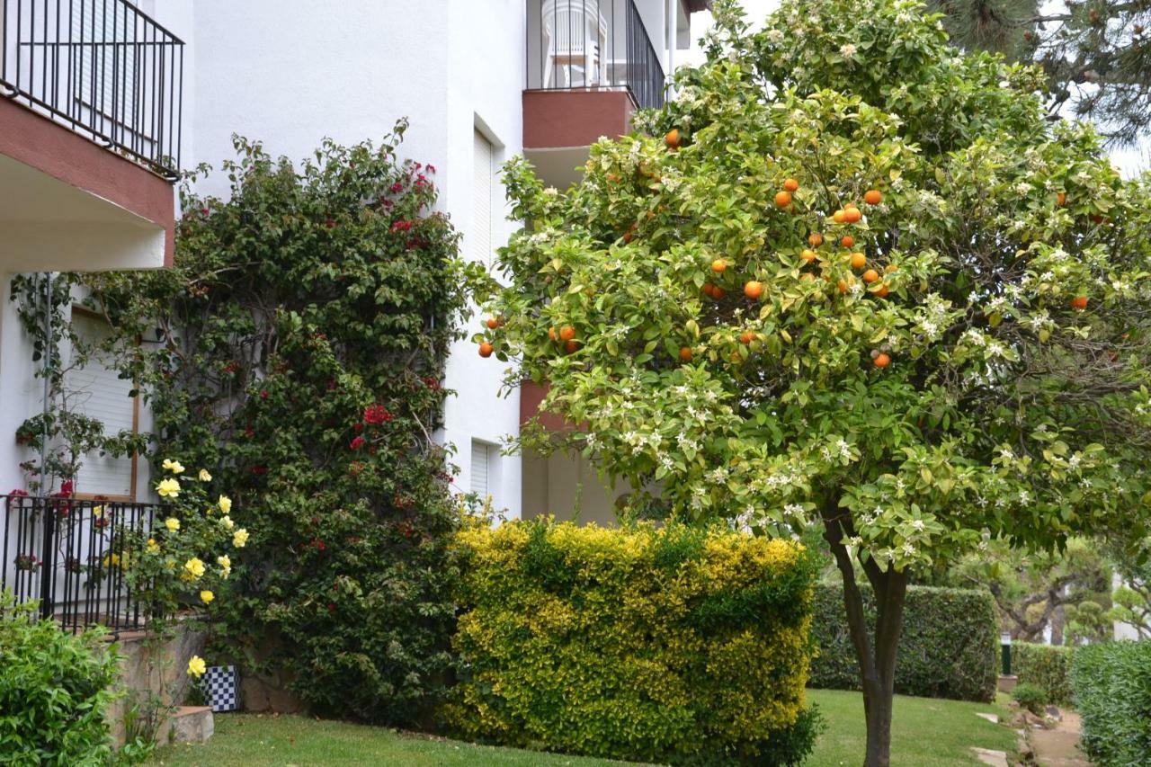 Apartamento Recien Reformado A 300 Metros Del Mar 卡莱利亚德帕拉弗鲁赫尔 外观 照片